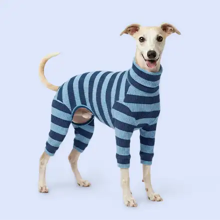 Four-Legged Dog Jumpsuits